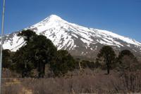 Vulkan Lanin &ndash; &copy; Peggy Petzold (Eberhardt TRAVEL)