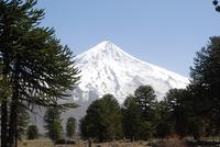Vulkan Lanin &ndash; &copy; Peggy Petzold (Eberhardt TRAVEL)