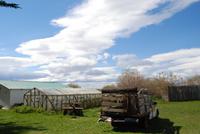 Nandu-Farm &ndash; &copy; Peggy Petzold (Eberhardt TRAVEL)