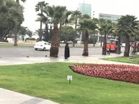 Darth Wader Vina del Mar Chile  &ndash; &copy; Sabine Letzybyll (Eberhardt TRAVEL)