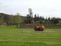 Weingut Matetic Chile &ndash; &copy; Sabine Letzybyll (Eberhardt TRAVEL)