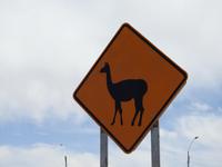 Warnschild  &ndash; &copy; Sabine Letzybyll (Eberhardt TRAVEL)