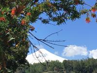Pucon  &ndash; &copy; Sabine Letzybyll (Eberhardt TRAVEL)