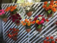 Blumen aus Holz &ndash; &copy; Sabine Letzybyll (Eberhardt TRAVEL)
