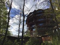 Panguipulli Baumhotel  &ndash; &copy; Sabine Letzybyll (Eberhardt TRAVEL)