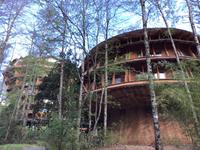 Panguipulli Baumhotel  &ndash; &copy; Sabine Letzybyll (Eberhardt TRAVEL)