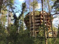 Panguipulli Baumhotel  &ndash; &copy; Sabine Letzybyll (Eberhardt TRAVEL)
