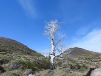 Nationalpark Torres del Paine Chile &ndash; &copy; Sabine Letzybyll (Eberhardt TRAVEL)