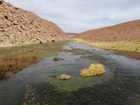Atacama Wüste &ndash; &copy; Philip Seidel (Eberhardt TRAVEL)