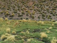 Atacama Wüste &ndash; &copy; Philip Seidel (Eberhardt TRAVEL)