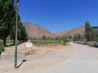 Weingut Santa Rita &ndash; &copy; Philip Seidel (Eberhardt TRAVEL)
