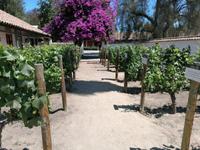 Weingut Santa Rita
