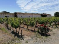 Weingut Santa Rita &ndash; &copy; Philip Seidel (Eberhardt TRAVEL)