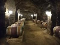 Weingut Santa Rita &ndash; &copy; Philip Seidel (Eberhardt TRAVEL)