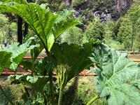 Aysen Chile &ndash; &copy; Sabine Letzybyll (Eberhardt TRAVEL)