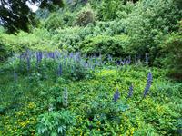 Aysen Chile &ndash; &copy; Sabine Letzybyll (Eberhardt TRAVEL)