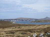 Stanley Falklandinseln &ndash; &copy; Sabine Letzybyll (Eberhardt TRAVEL)