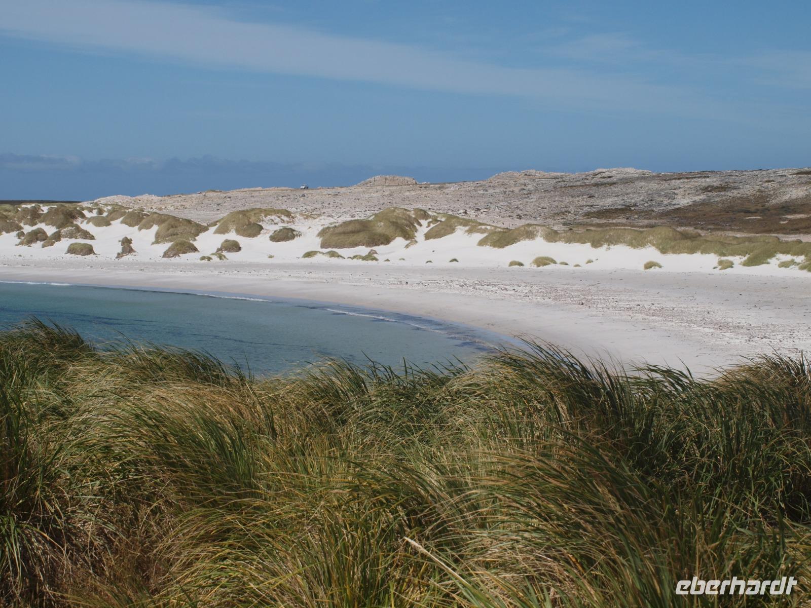 Falklandinseln - Gypsy Cove &ndash; &copy; Juliane Voigt (Eberhardt TRAVEL)