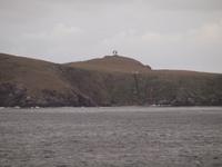 Kap Horn - Albatros &ndash; &copy; Juliane Voigt (Eberhardt TRAVEL)