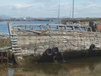 Falklandinseln &ndash; &copy; Juliane Voigt (Eberhardt TRAVEL)