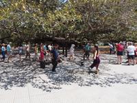 Buenos Aires &ndash; &copy; Juliane Voigt (Eberhardt TRAVEL)