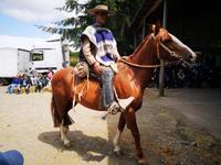 Puerto Montt - Folklore &ndash; &copy; Juliane Voigt (Eberhardt TRAVEL)