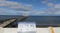 Punta Arenas &ndash; &copy; Frank Nimschowski (Eberhardt TRAVEL)