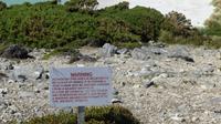 Falkland Inseln &ndash; &copy; Frank Nimschowski (Eberhardt TRAVEL)