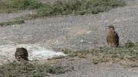 ... &ndash; &copy; Frank Nimschowski (Eberhardt TRAVEL)