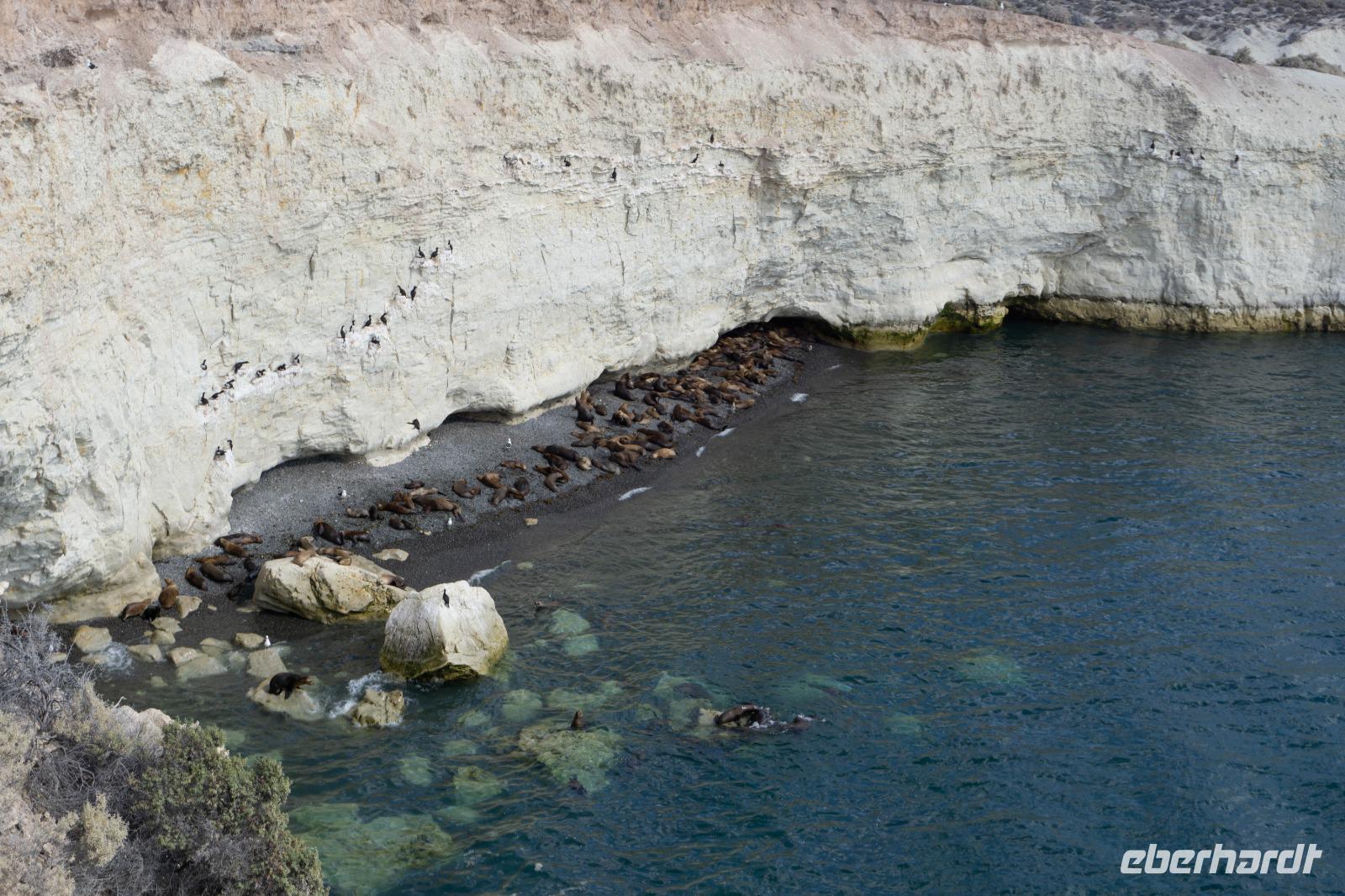 61_Ausflug Puerto Madryn &ndash; &copy; Carina Henn (Eberhardt TRAVEL)