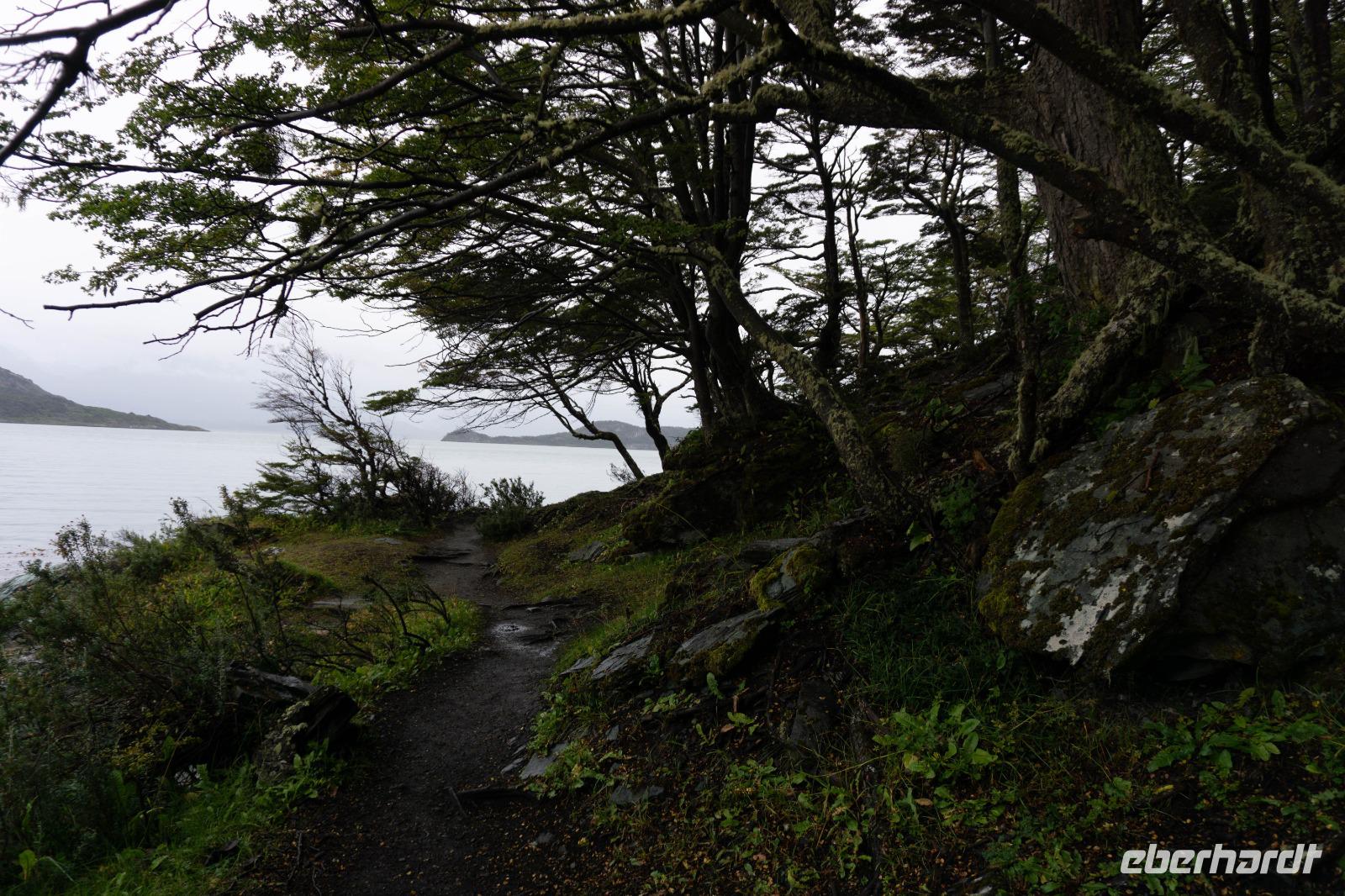 96_Ushuaia Feuerland Nationalpark &ndash; &copy; Carina Henn (Eberhardt TRAVEL)