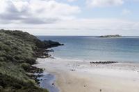 69_Falkland Inseln &ndash; &copy; Carina Henn (Eberhardt TRAVEL)
