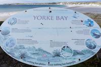 70_Falkland Inseln &ndash; &copy; Carina Henn (Eberhardt TRAVEL)