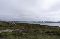 77_Falkland Inseln &ndash; &copy; Carina Henn (Eberhardt TRAVEL)