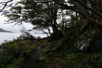 96_Ushuaia Feuerland Nationalpark &ndash; &copy; Carina Henn (Eberhardt TRAVEL)