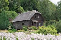 133_Frutillar &ndash; &copy; Carina Henn (Eberhardt TRAVEL)