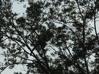 Regenwald - Ecuador &ndash; &copy; Sabine Letzybyll (Eberhardt TRAVEL)