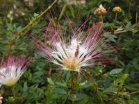 Regenwald - Ecuador &ndash; &copy; Sabine Letzybyll (Eberhardt TRAVEL)