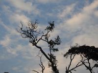 Regenwald - Ecuador &ndash; &copy; Sabine Letzybyll (Eberhardt TRAVEL)