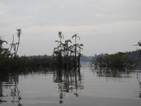 Regenwald - Ecuador &ndash; &copy; Sabine Letzybyll (Eberhardt TRAVEL)