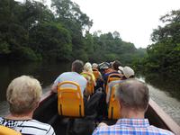 Regenwald - Ecuador &ndash; &copy; Sabine Letzybyll (Eberhardt TRAVEL)