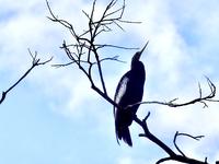Regenwald - Ecuador &ndash; &copy; Sabine Letzybyll (Eberhardt TRAVEL)