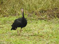Regenwald - Ecuador &ndash; &copy; Sabine Letzybyll (Eberhardt TRAVEL)