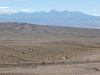 In der Atacama-Wüste II &ndash; &copy; René Wächtler (Eberhardt TRAVEL)