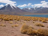 Lagune Miscanti &ndash; &copy; René Wächtler (Eberhardt TRAVEL)