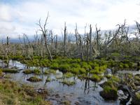 Zauberwald &ndash; &copy; René Wächtler (Eberhardt TRAVEL)