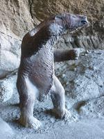 Das-Der Milodon &ndash; &copy; René Wächtler (Eberhardt TRAVEL)