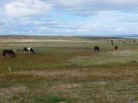 PATAGONIEN &ndash; &copy; René Wächtler (Eberhardt TRAVEL)
