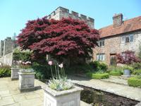 Penshurst Garden &ndash; &copy; Constanze Hölig (Eberhardt TRAVEL)