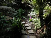 Lost Gardens of Heligan &ndash; &copy; Constanze Hölig (Eberhardt TRAVEL)